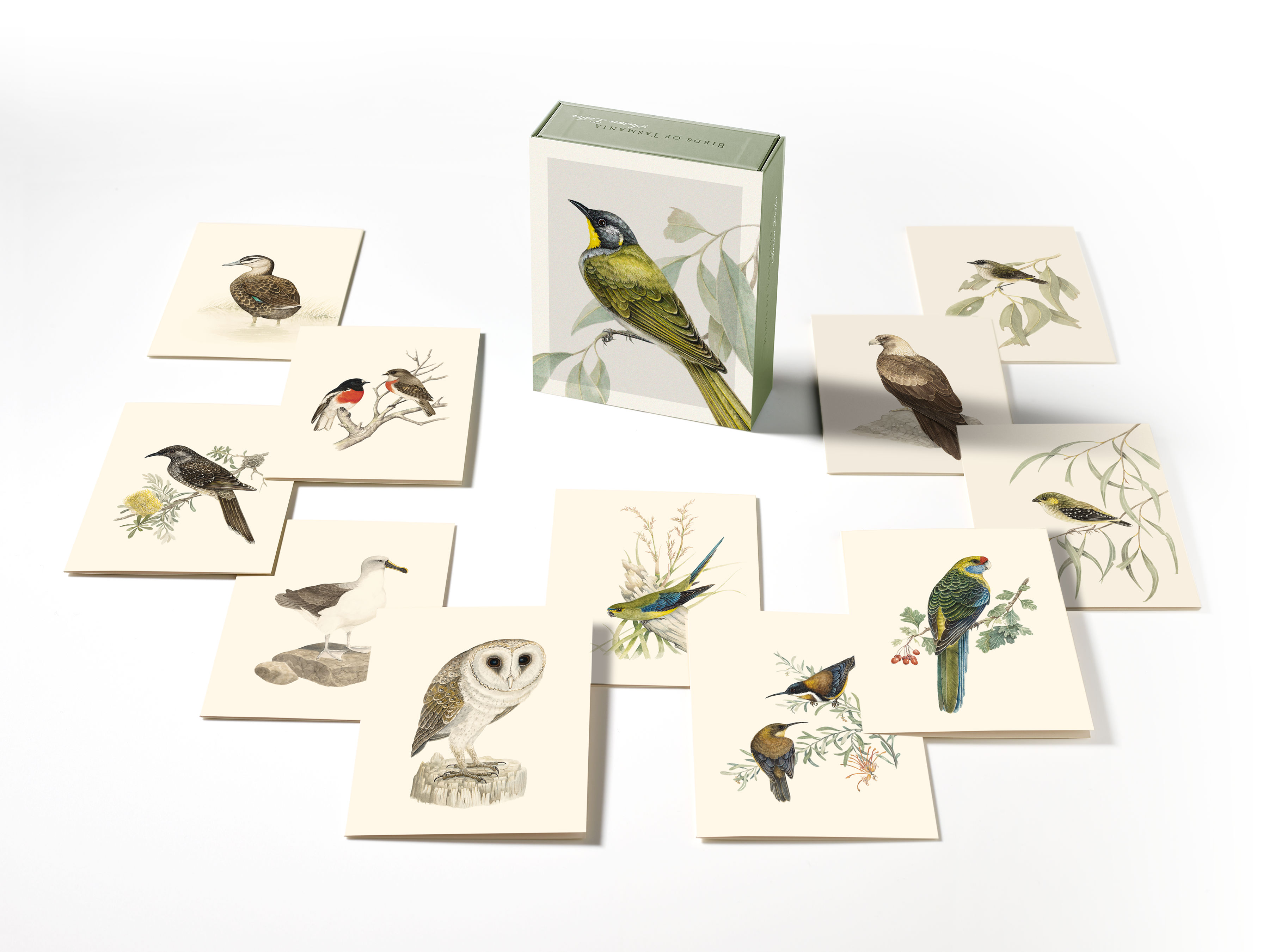 Photograph shows the 12 birds featured in the box set of cards. The cards are laid flat slightly overlapping with the box standing vertical in the centre. Photo: Peter Whyte.
