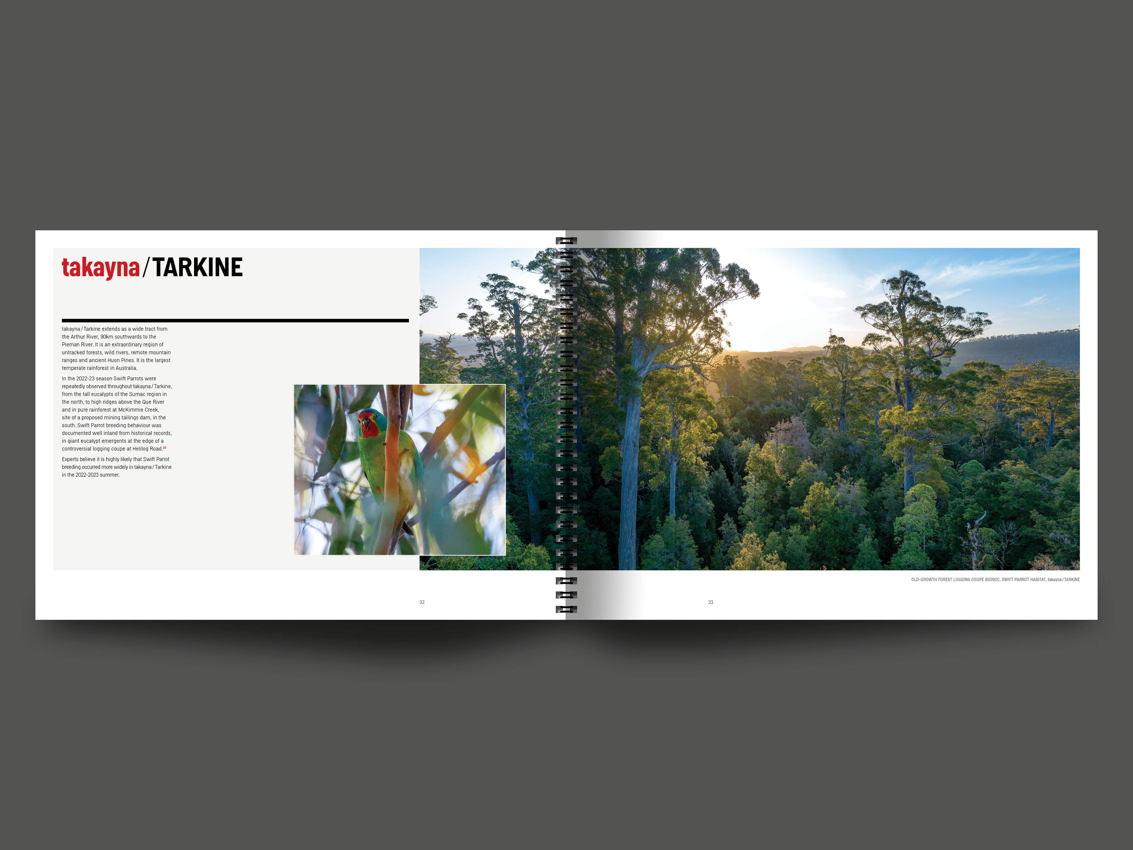 A double page spread from the book featuring text about takayna / Tarkine on the left with a small inset image of a Swift Parrot perching amongst eucalyptus trees, and a full page image of Swift Parrot forest habitat in takayna / Tarkine on the right. Images by Rob Blakers.