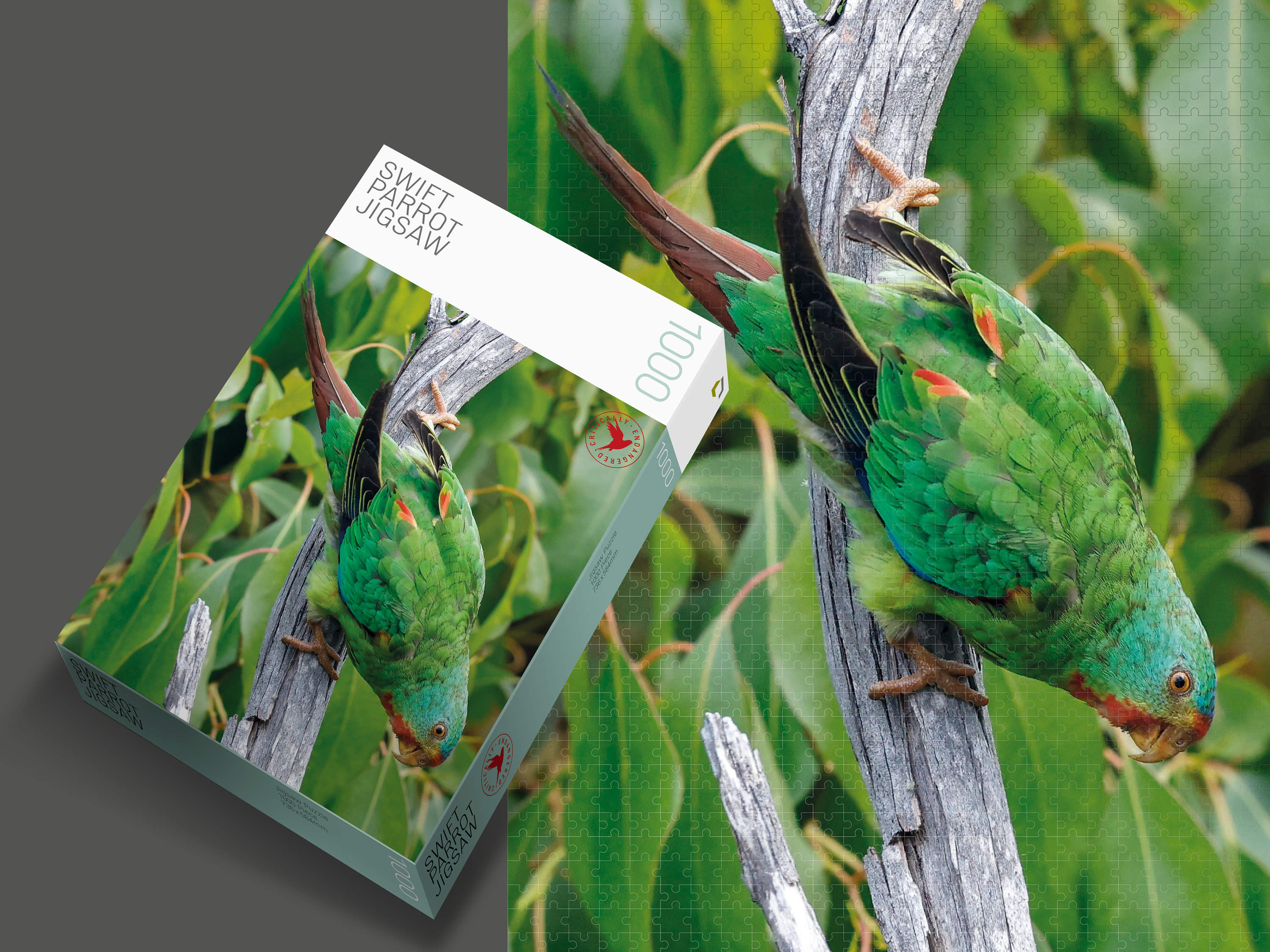 A composite picture of the Swift Parrot jigsaw box, with a Swift Parrot amongst dense eucalyptus foliage. The box is sitting on top of a completed copy of the jigsaw. Image by Rob Blakers.
