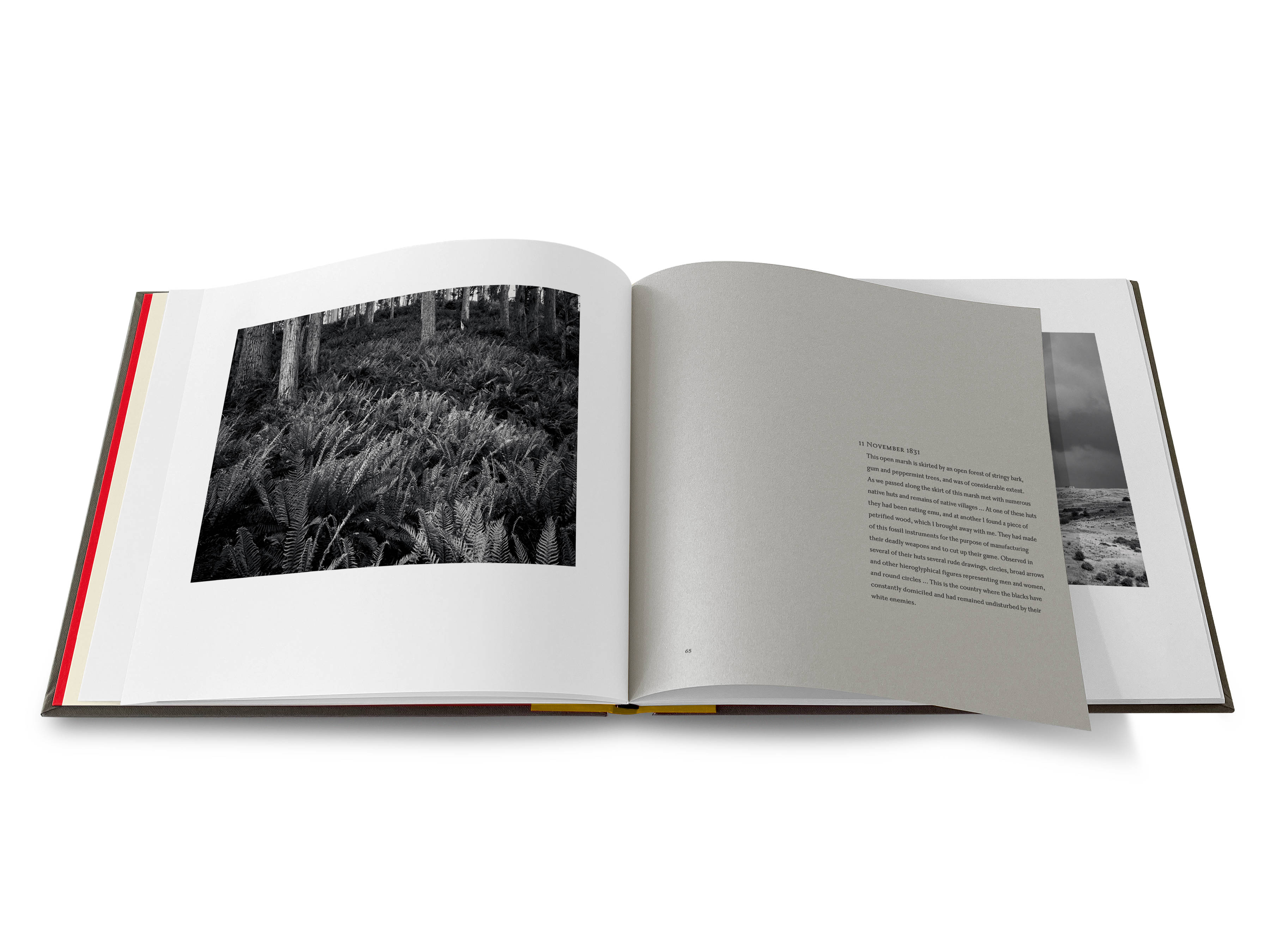 An image of a double-page spread from the Uninnocent Landscapes book with an image of a fern glade in a forest on the left and a quote from Robinson’s diary on a grey page on the right.